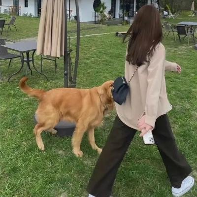 狄仁杰之运河惊龙